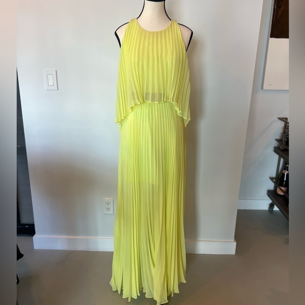 Bcbgmaxazria Shaina Sleeveless Pleated Gown